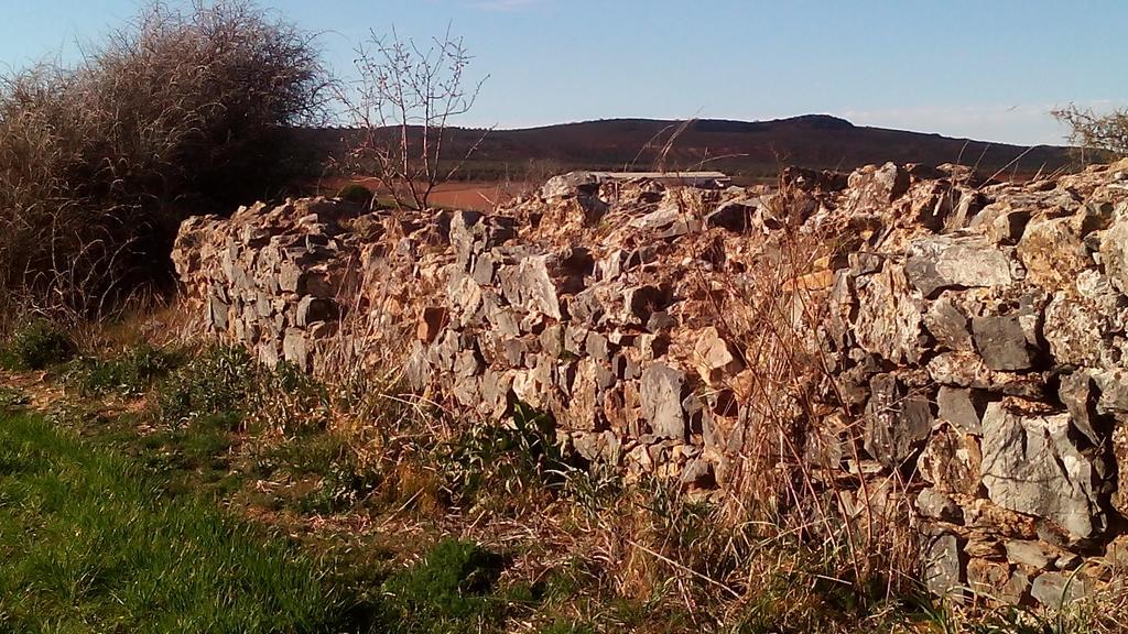 Apartamentos Turisticos La Vida De Antes Consuegra Dış mekan fotoğraf